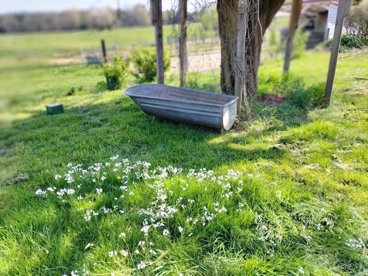 Les Hortensias La Souris Des Champs Étival-Clairefontaine المظهر الخارجي الصورة
